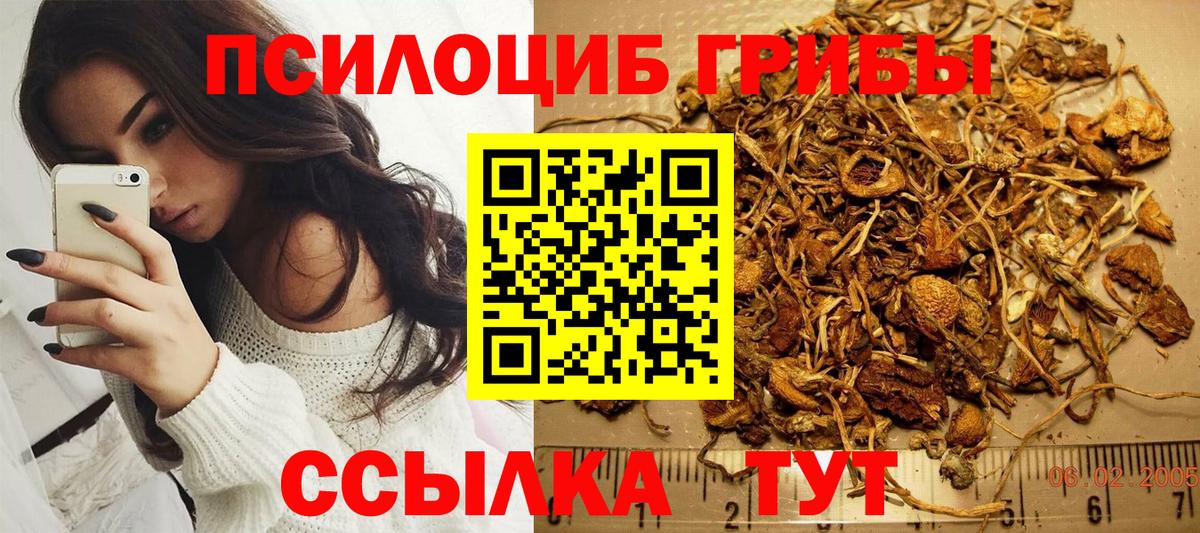 Галлюциногенные грибы мицелий  Вход с VPN  Обнинск 